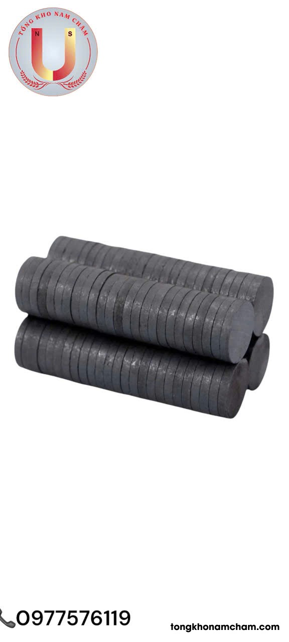 Nam châm đen Ferrite 10x2mm
