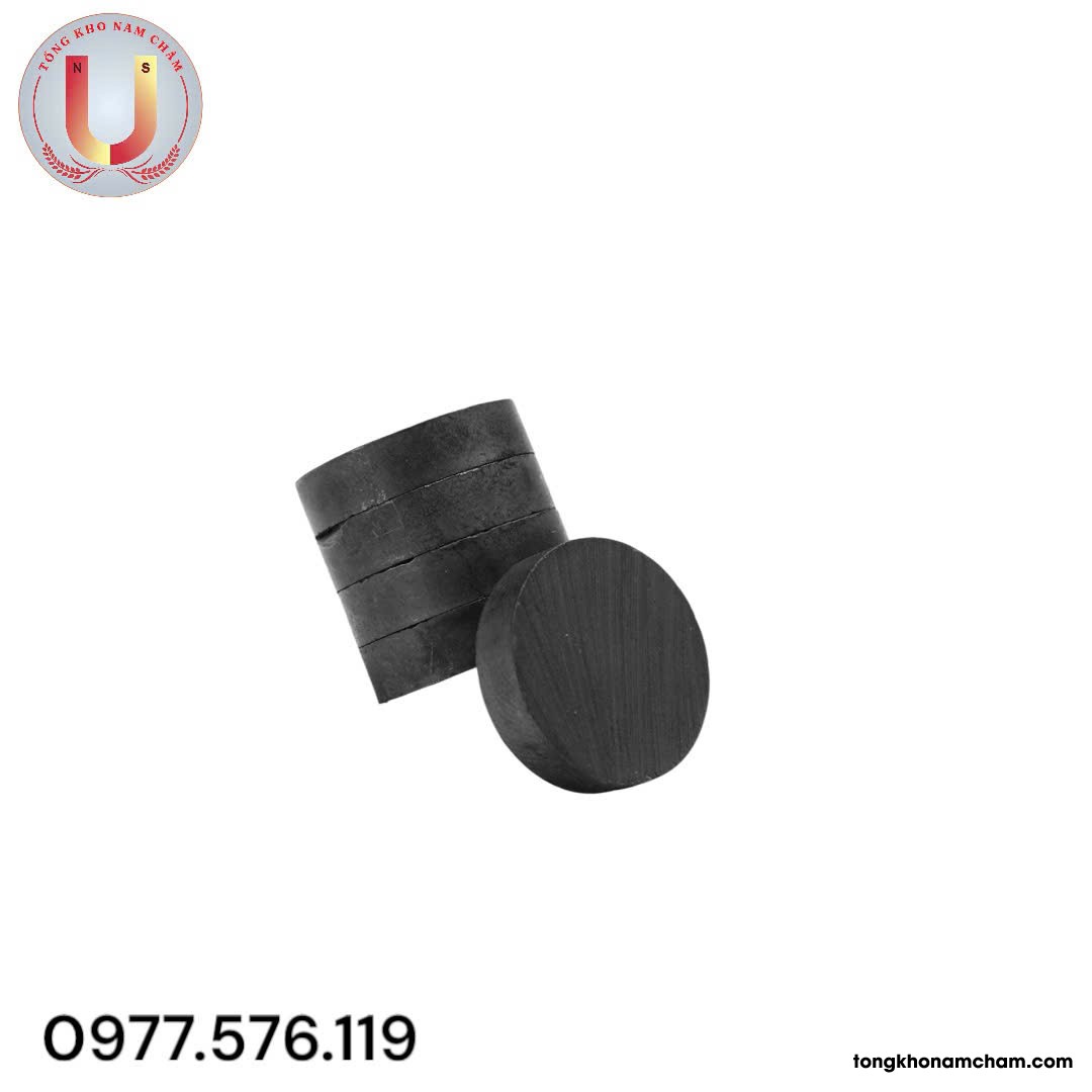 Nam châm đen, nam châm Ferrite 20x5mm