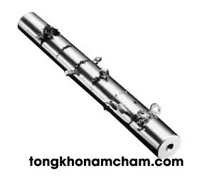 Nam châm thanh hút tạp chất, dăm gỗ,mùn cưa phi 20x300mm (lực từ 7000-8000Gs)