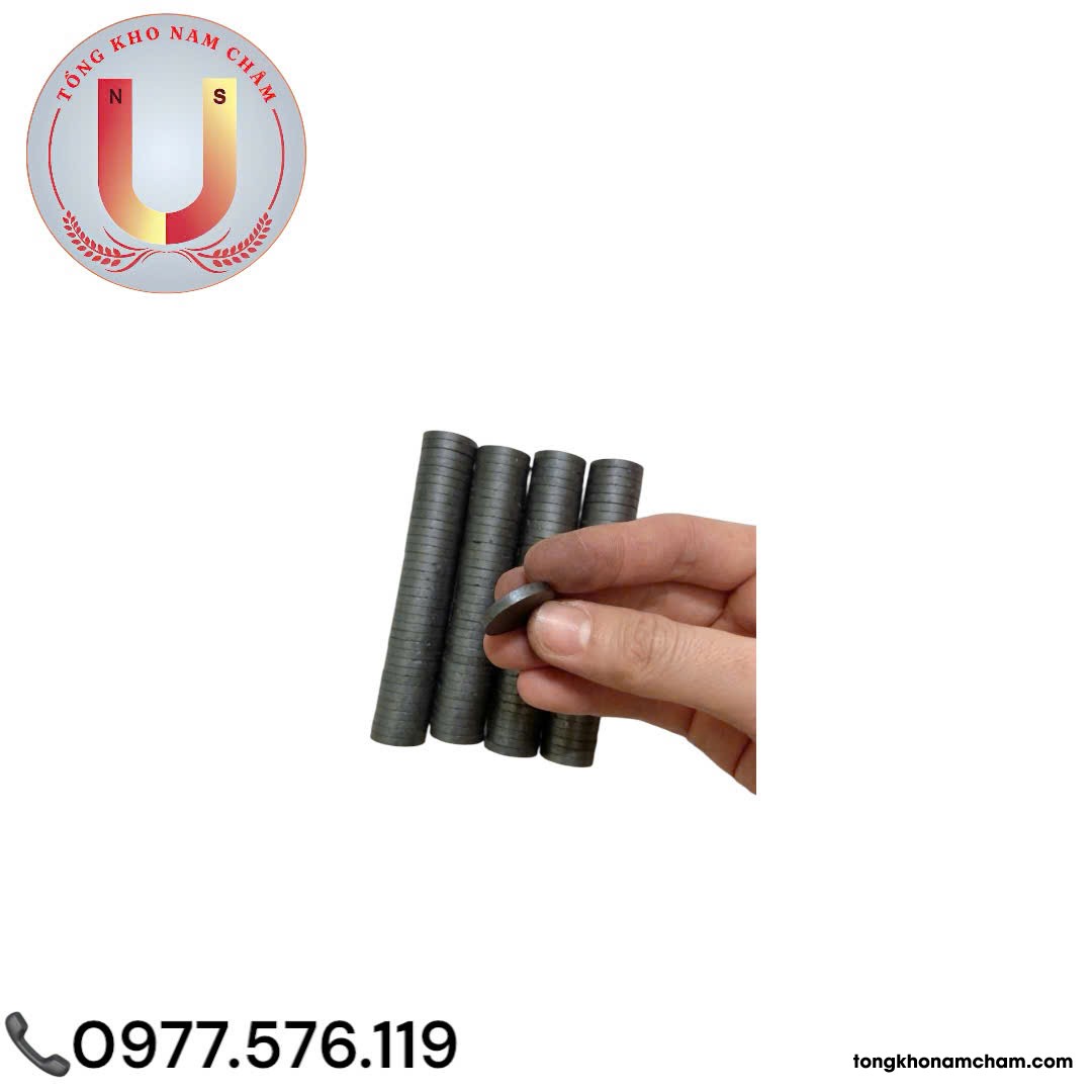 Nam châm viên đen, Nam châm Ferrite 20x3mm